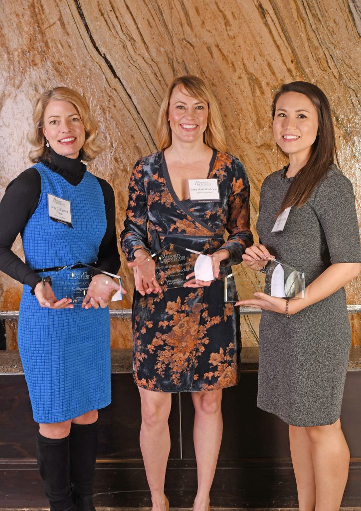 Influential Appellate Advocates- Amy Collignon Gunn, Ann-Marie