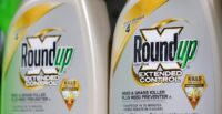Bottles of Roundup, a brand owned by Bayer, are seen for sale in a store in New York City