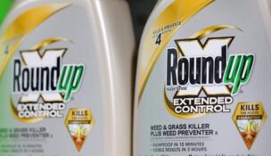Bottles of Roundup, a brand owned by Bayer, are seen for sale in a store in New York City